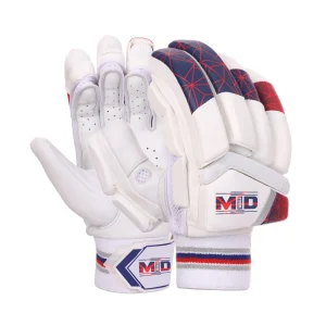 Batting Gloves